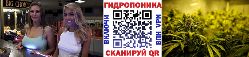 Купить  Луга  Канабис VHQ 